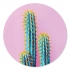 Muurcirkel Cactus 70 cm forex