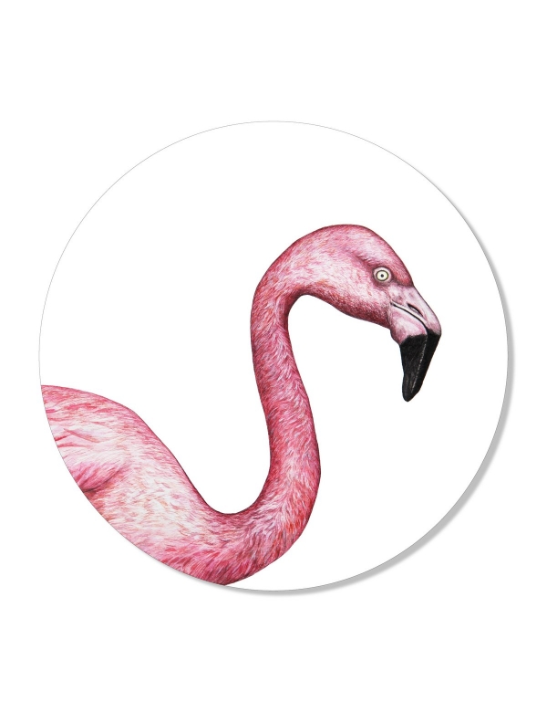 Muurcirkel Flamingo 70 cm forex